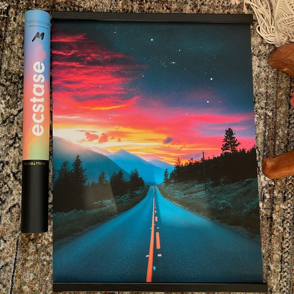 Ecastase “Lost in a Dream” Walltone Canvas Wall Print with Frame